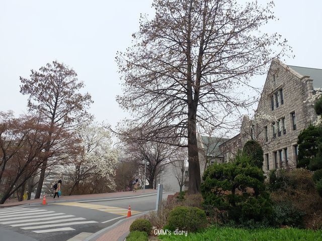 หนีร้อน…ไปเดินชิคที่ Ewha Woman University 