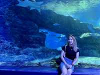SEA LIFE Bangkok Ocean World