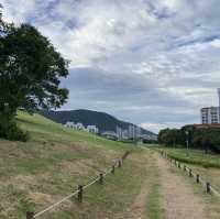 금관 가야 시대의 무덤 양식을 볼 수 있는, 대성동 고분군