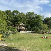 ที่พักคืนละ 500 รวมอาหารเช้า@บ้านไร่อารียา ราชบุรี