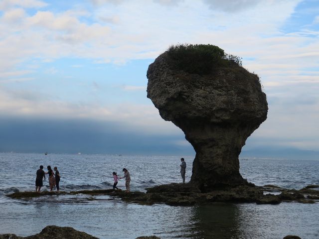 頭上長草的岩石🌿琉球海上《花瓶岩》🪨