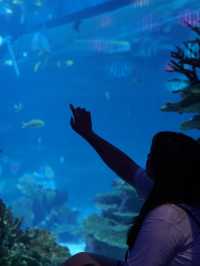 親子週末好去處｜歡樂海岸海洋奇夢館🌊
