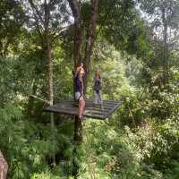 Fly at Tad Fane Waterfall