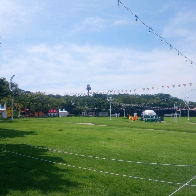 7080 치맥축제라고할까  두류공원 야외음악당