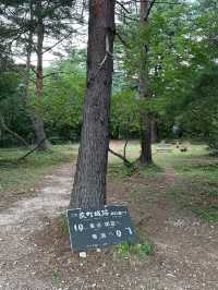 白川鄉 ｜荻町城跡展望台眺望合掌村📸