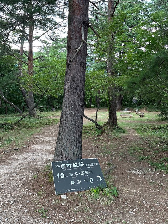白川鄉 ｜荻町城跡展望台眺望合掌村📸