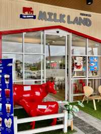 นมชมพูเย็น หวานอร่อยที่ Milk Land 