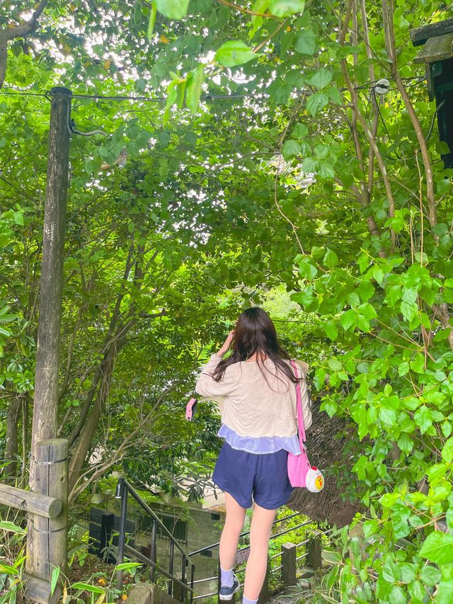 일본여행에서 당일치기 온천순례가 가능한 마을💕