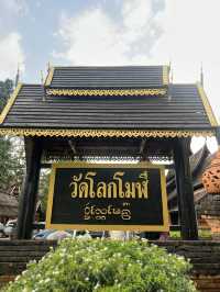 ตามรอยละครกลิ่นกาสะลองที่วัดโลกโมฬี 
