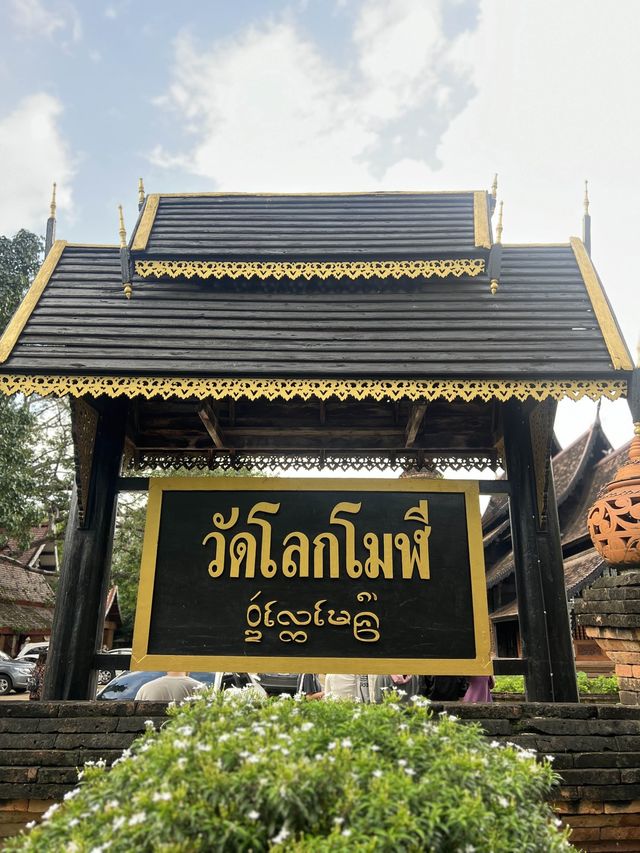 ตามรอยละครกลิ่นกาสะลองที่วัดโลกโมฬี 