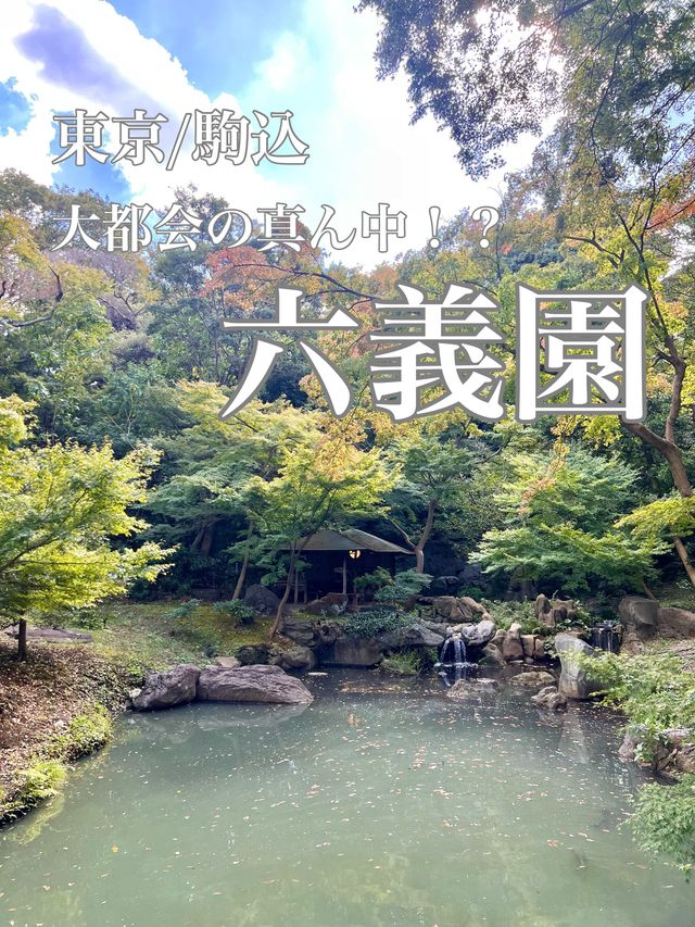 東京【駒込】六義園