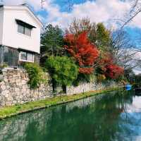 秋遊日本滋賀必去！八幡堀：浪漫水鄉漫步，感受江戶時代風情 
