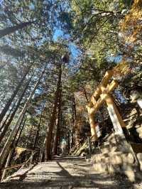 【秩父】関東屈指のパワースポット❗️三峯神社✨