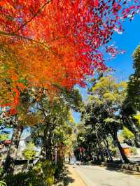 【埼玉県/武蔵一宮氷川神社】2023年行ってよかった！埼玉県の神社②