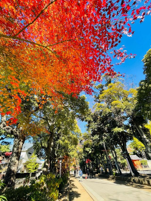 【埼玉県/武蔵一宮氷川神社】2023年行ってよかった！埼玉県の神社②