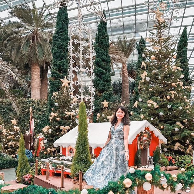 🎄 Gardens by the Bay 🇸🇬🎄
