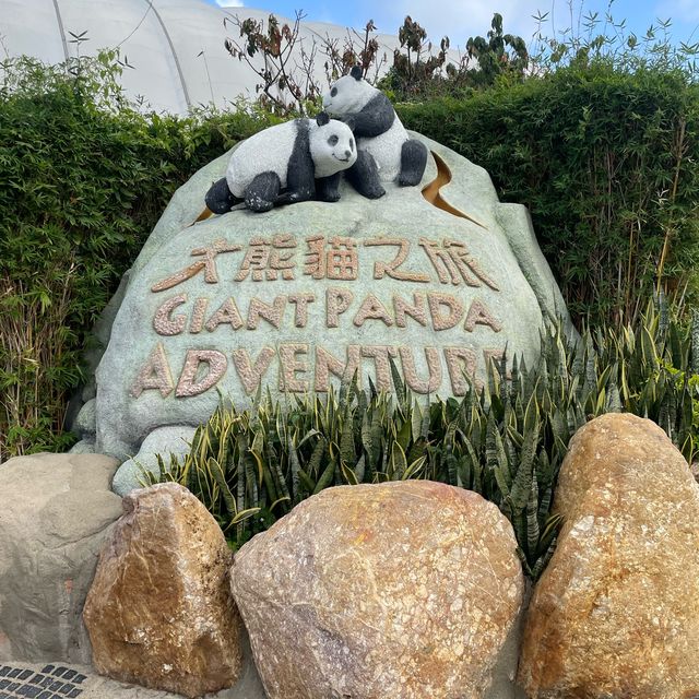 【香港】おすすめスポット🇭🇰