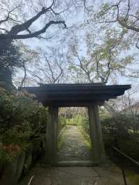 芸術の世界に作られた本格的な茶室 一白庵