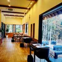 【長野県/森の中にある眺めの良いレストラン🌲🍽️🦌✨】