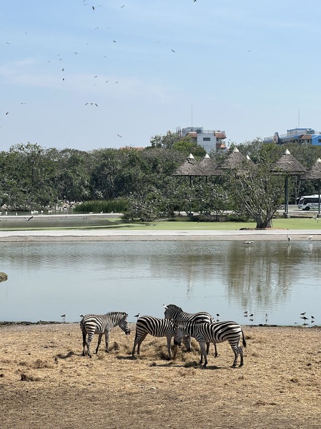 Safari World