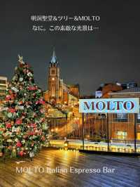 【韓国旅行】明洞の超人気カフェ✨冬だけのこの景色・この美しさ唯一無二✨