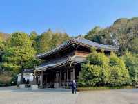 Kyoto's Geisha District