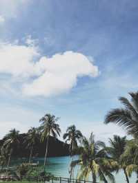 To The Sea The Resort Koh Kood 🌊✨💙💦