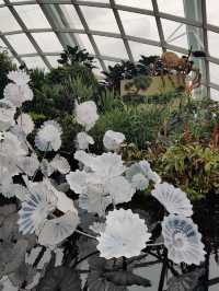 In the clouds @gardens by the bay Singapore