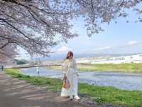 知る人ぞ知る、富士山と桜の名所『龍巌淵』MAPあり！