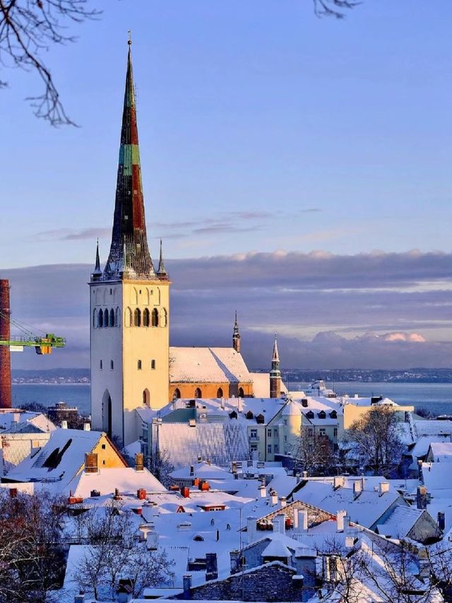 塔林：愛沙尼亞的中世紀魅力與現代風情🏰🌆】