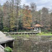 深圳仙湖植物園，愛花人士必到景點