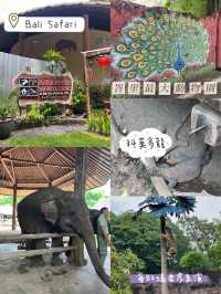 峇里親子遊❤️最大動物園😳Bali Safari and Marine Park🙈