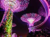 Garden by the Bay's magical night
