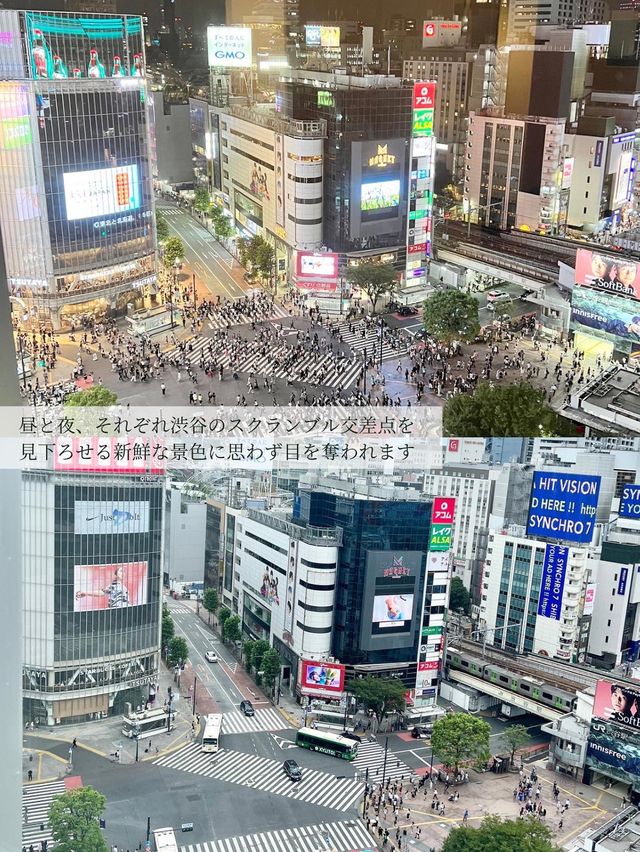  【東京/渋谷】渋谷のスクランブル交差点を一望【渋谷エクセルホテル東急】