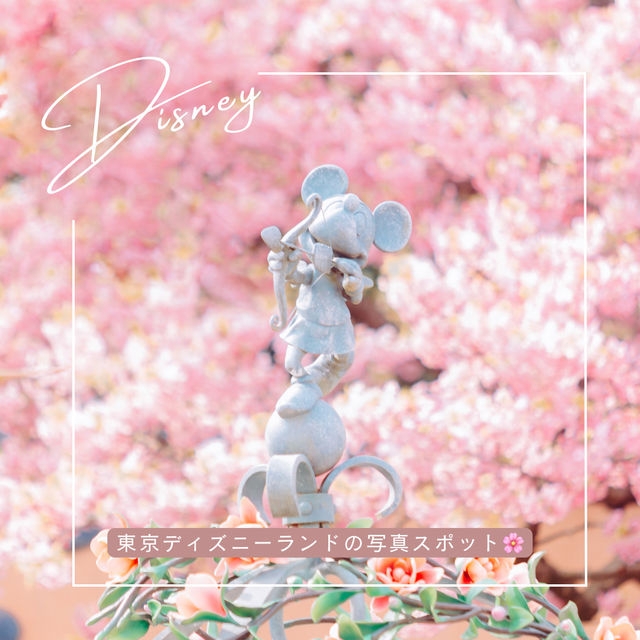 【千葉】ディズニーで桜を見るならここ！「トゥーンタウン」が写真映え最強スポットだった📷´-