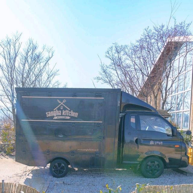 겨울에도 파릇파릇 들판을