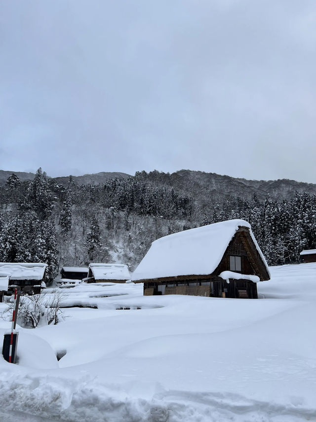 ฟินสุดๆ กับหมู่บ้าน Shirakawa-go ในวันที่หิมะฟู