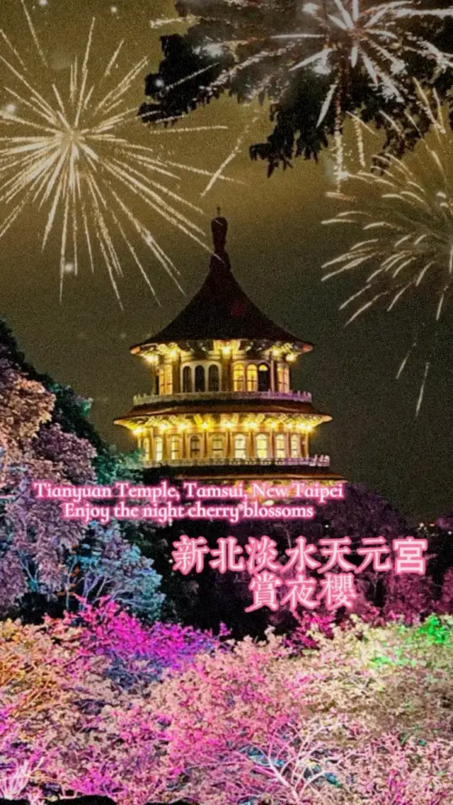 新北淡水賞櫻景點-無極天元宮白天美還有夜櫻可以賞