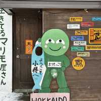 Otaru, what a pretty town!