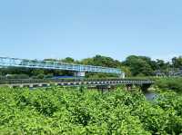 Yachiyo Regional Park