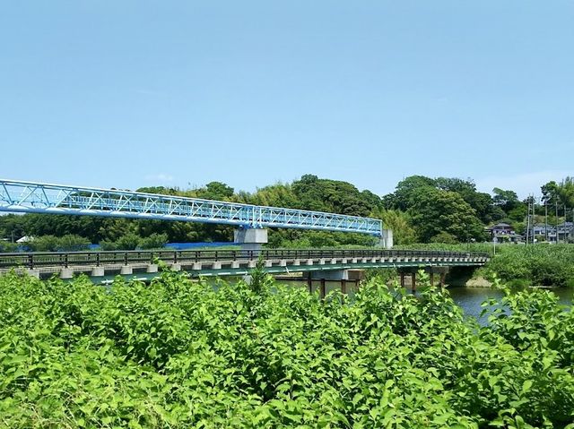 Yachiyo Regional Park