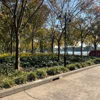 上海世紀公園