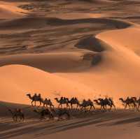 We suggest the following tours for you