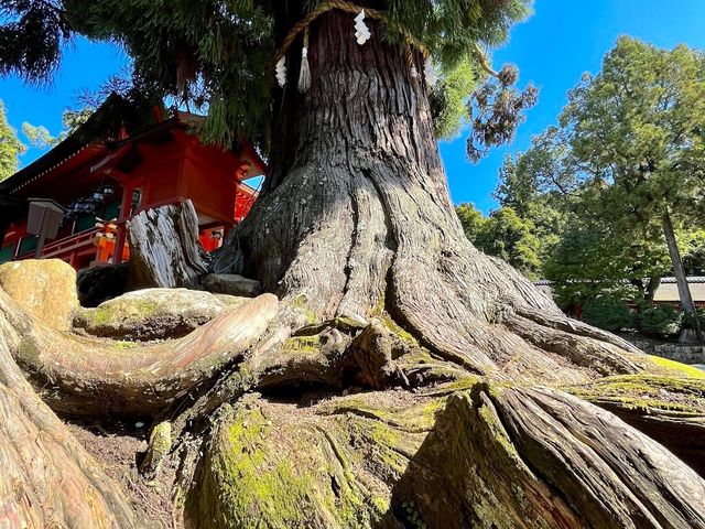 Kasuga Taisha