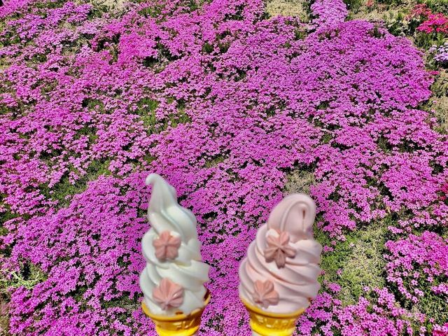 Higashimokoto Shibazakura Park 