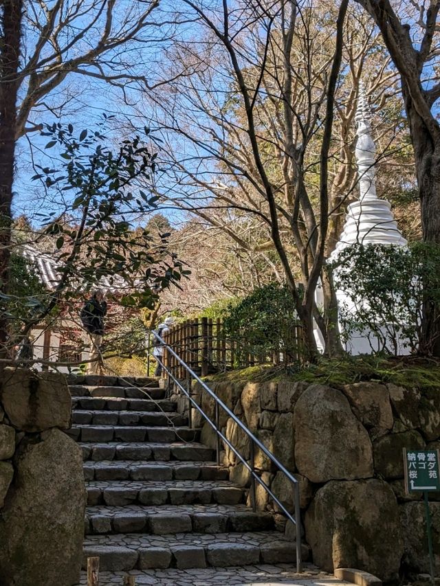 龍安寺の境内の鏡容池(おしどり池)の、水分石(みくまり石)の上には、２羽の鳥が仲良く並んでいた