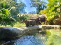 Los Angeles Zoo