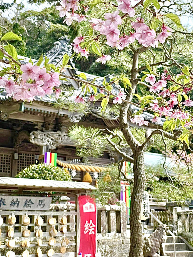 【伊古奈比咩命神社/静岡県】伊豆最古の宮と桜