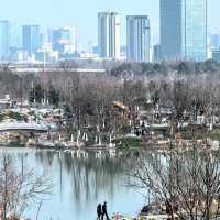 嶺南大地百草園：享受世外桃源的寧靜