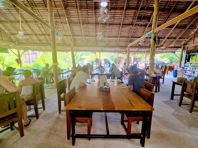 Ao Nang Elephant Sanctuary